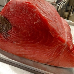冷凍せず店舗へ届く濃厚な旨味の「生本マグロ」の写真