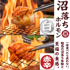秘伝!沼落ちホルモン「赤」と「白」