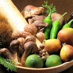 居酒屋・鮨　寿司　福岡　魚　薬院　割烹　個室　日本酒　焼酎　宴会　接待　記念日