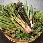 店主が摘む山菜を楽しめるのもこの時期ならでは。天婦羅やすき焼きなどにてご堪能ください。 