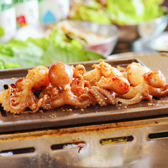 ミリネヤンコプチャン 桜木町野毛店特集写真1