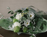Connesso Okazaki italiandiningのロゴ
