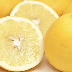 グレープフルーツサワー