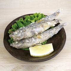 580円メニュー各種