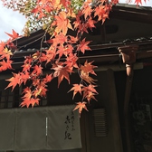 【秋】色鮮やかな紅葉がとてもきれいです。