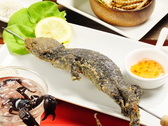爬虫類カフェ ROCK STAR ロックスターのおすすめ料理2