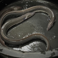 高級鰻をこの価格で実現！