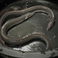 高級鰻をこの価格で実現！