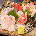 料理メニュー写真&nbsp;朝獲れ鮮魚刺