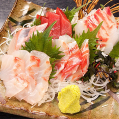 朝獲れ鮮魚刺