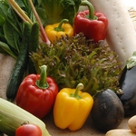 当店のお野菜は、無農薬の有機野菜です。安心安全のオーガニック野菜を安心してお召し上がりください