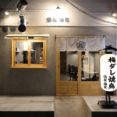 鶏屋 梅星のコース写真