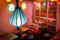 季節ごとに異なる魅力、ペットと一緒に楽しむ贅沢