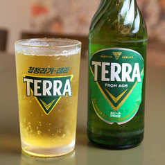 韓国ビールTERRA