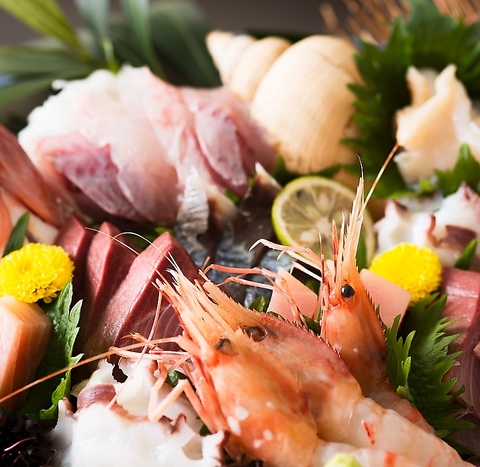 �{�ʗ���TAKU