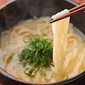 料理メニュー写真 濃厚鶏豚白湯 塩うどん