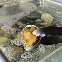 鮮度抜群！『絶品アワビ』