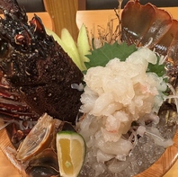鮮魚をはじめ、季節の味をお楽しみください。