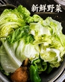 料理メニュー写真&nbsp;韓国サラダ