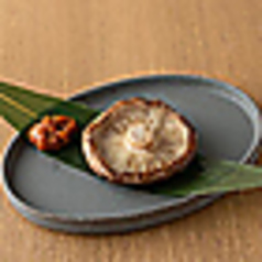 大椎茸