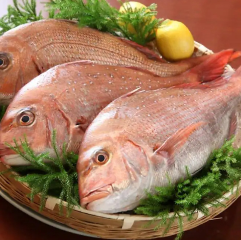 やまんそらの写真