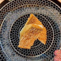 酒菜 竹さきのコース写真