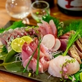 料理メニュー写真&nbsp;本日の鮮魚 七点盛り