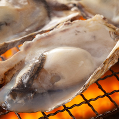 磯っこ商店isokko 博多駅筑紫口店のコース写真