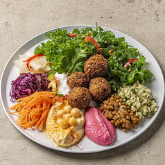 ファラフェルと前菜プレート(ひよこ豆のコロッケ)