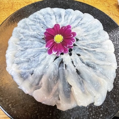 酒処大安 西天満本店の特集写真