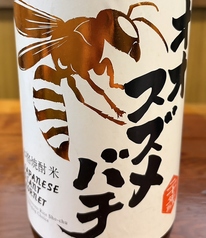 【米焼酎】オオスズメバチ