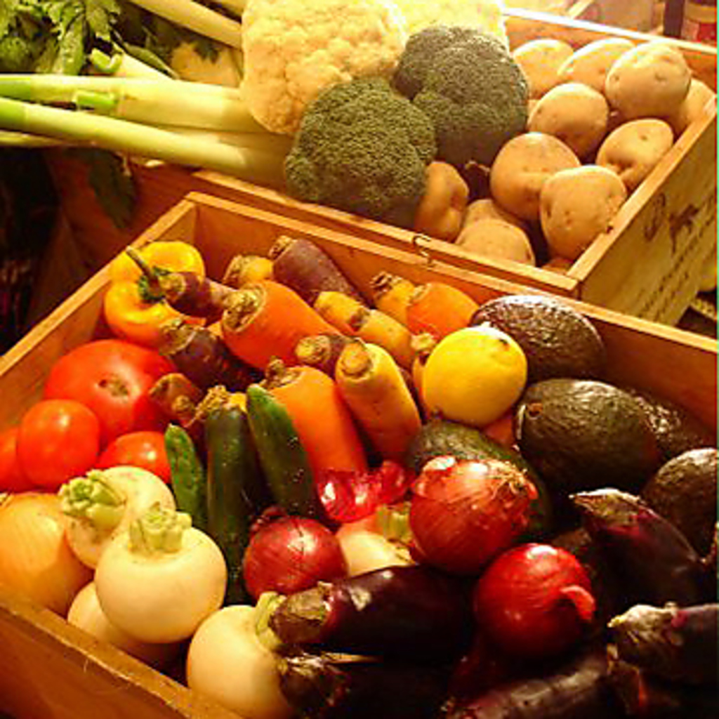 新鮮な海鮮と農園自慢の野菜を是非！！