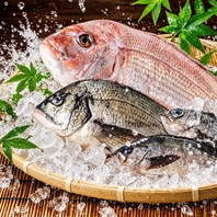鮮度抜群のお造り盛り合わせなど海鮮料理を多数ご用意！