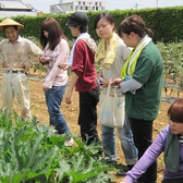 羽田農園へ野菜の収穫のお手伝いしました！