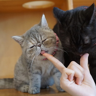 おやつ等のセットメニューは90分1650円～♪