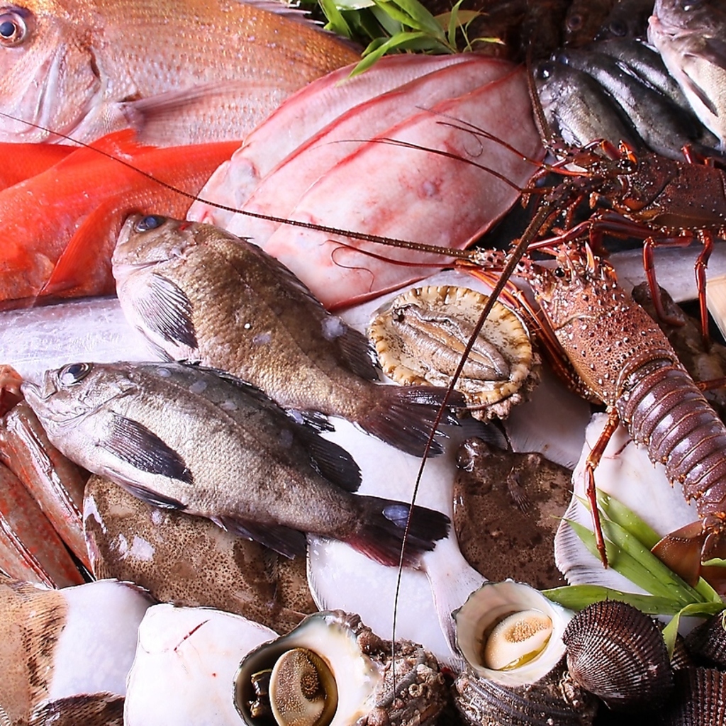 焼き鳥・海鮮・ジビエを楽しめるお店