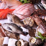 焼き鳥・海鮮・ジビエを楽しめるお店