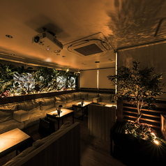 少し贅沢に使える5名様ソファー席は、仲良しグループでの女子会や記念日におすすめ！広めの空間でゆったり過ごせるため、特別感のある時間を演出できます◎お祝いプレートやサプライズとも相性抜群で、思い出に残るひとときをお楽しみいただけます♪