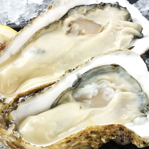 ���������t�B�[�o�[ ���s�O��؉����X