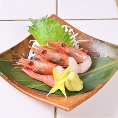 アジ/炙りしめ鯖/イカ/甘エビ 各種