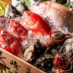 居酒屋 魚魚権 ととげん 渋谷 神泉の特集写真