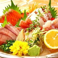 本日の鮮魚刺身三種盛り