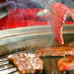 焼肉とバニーガール 難波店のおすすめ料理1