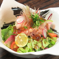 峠下牛コウネ冷しゃぶサラダ