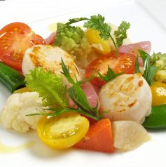 デラッセの写真3