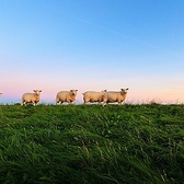 当店は全席禁煙のため、タバコの煙を気にせずにゆったりとお食事を楽しめる快適な空間を提供しています♪ 健康を気遣う方やお子様連れのお客様にも安心してご利用いただける環境を整えております◎ リラックスできる雰囲気の中で、友人や家族との楽しい会話をお楽しみください。