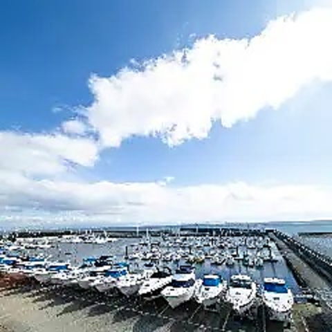 GOOD BEACH CLUB { o[xL[eX