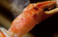 料理メニュー写真&nbsp;ズワイガニ爪　2本