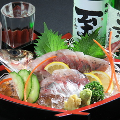 【佐渡産のお刺身×日本酒】