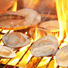 ● 昆布森産 特Ａ 地はまぐり (１個）